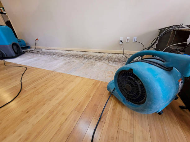 Professional Sewage Cleanup technician working in Franklin, PA